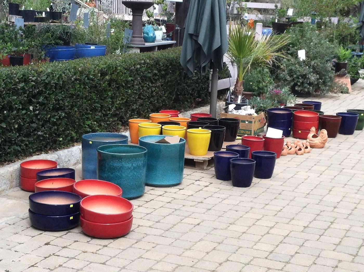 assorted ceramic pots, Garden Growers Nursery, SBBG