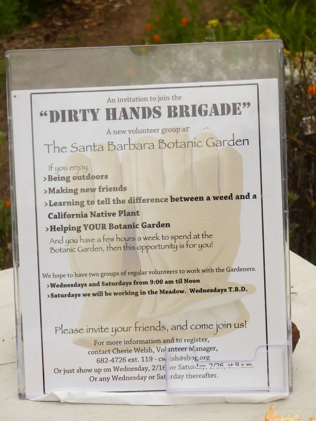 Volunteers from Citrix, Dirty Hands Brigade