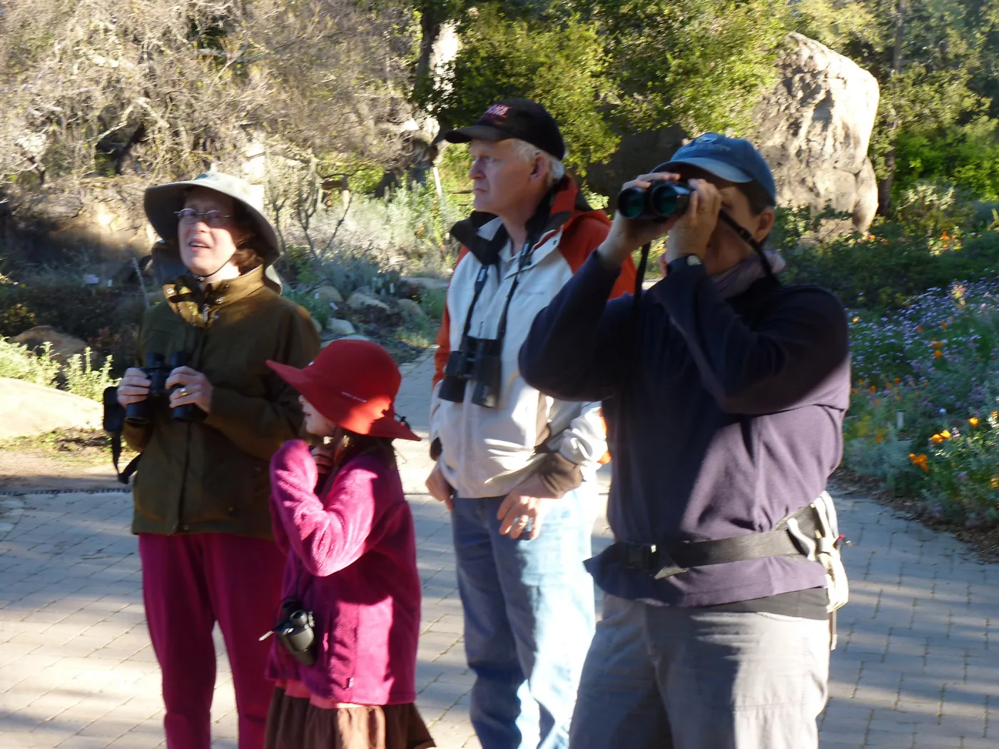 Morning bird walk