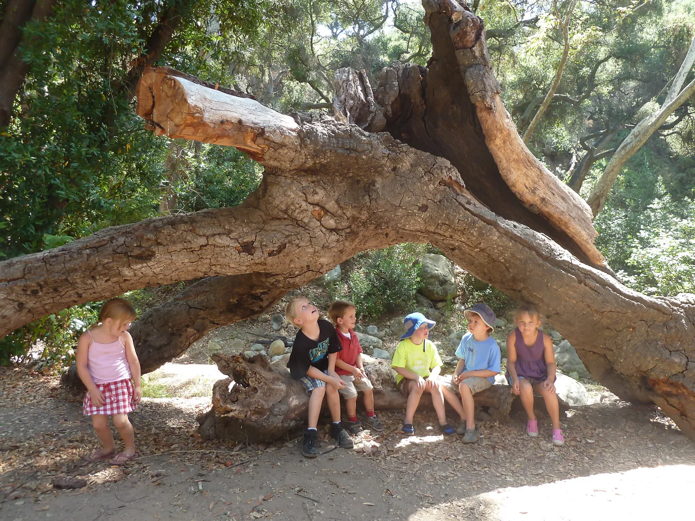 Creek Critters, childrens class