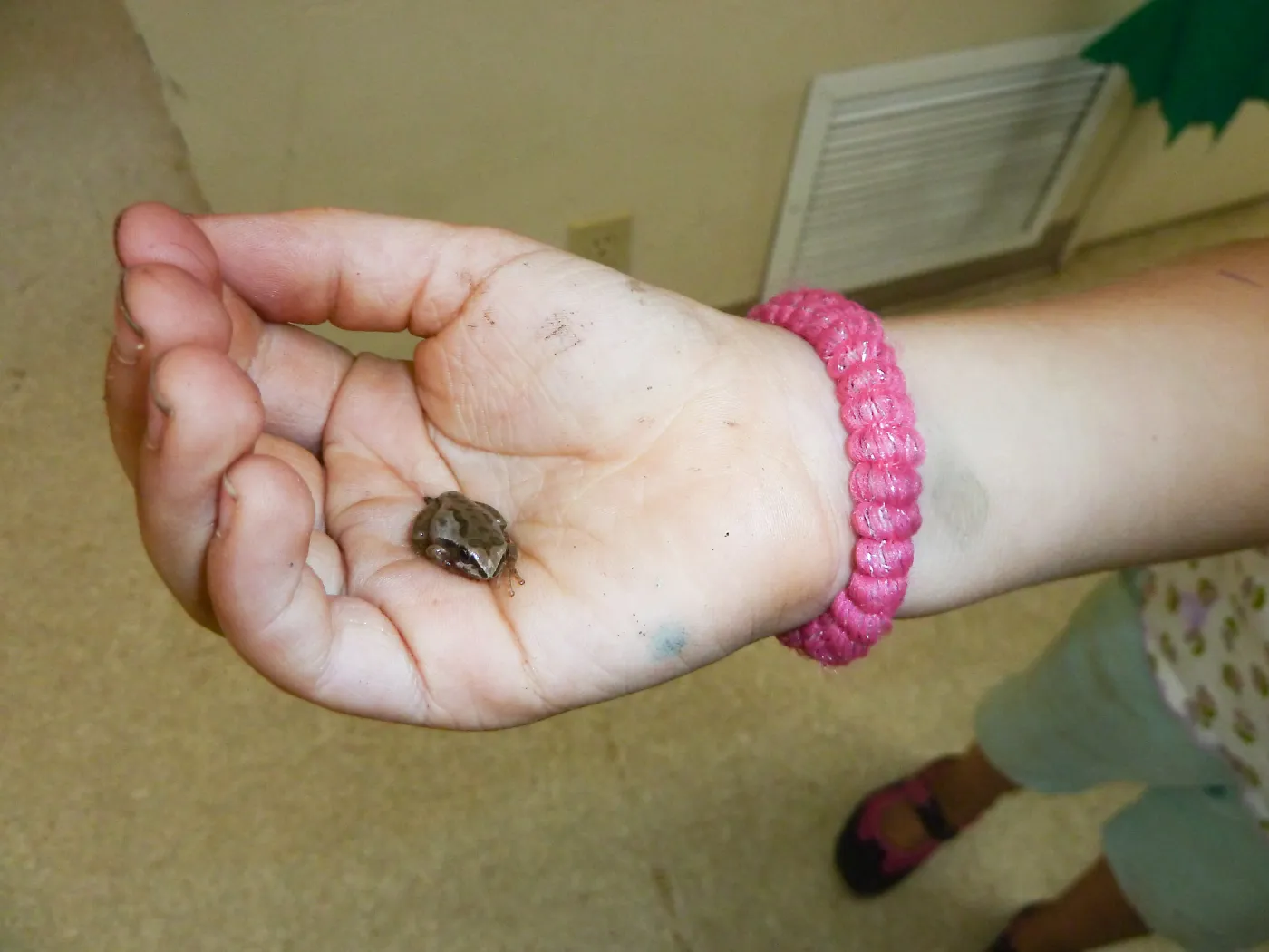 Creek Critters, childrens class