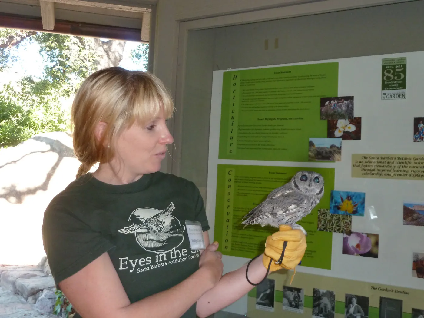 Owl-O-Ween 2012