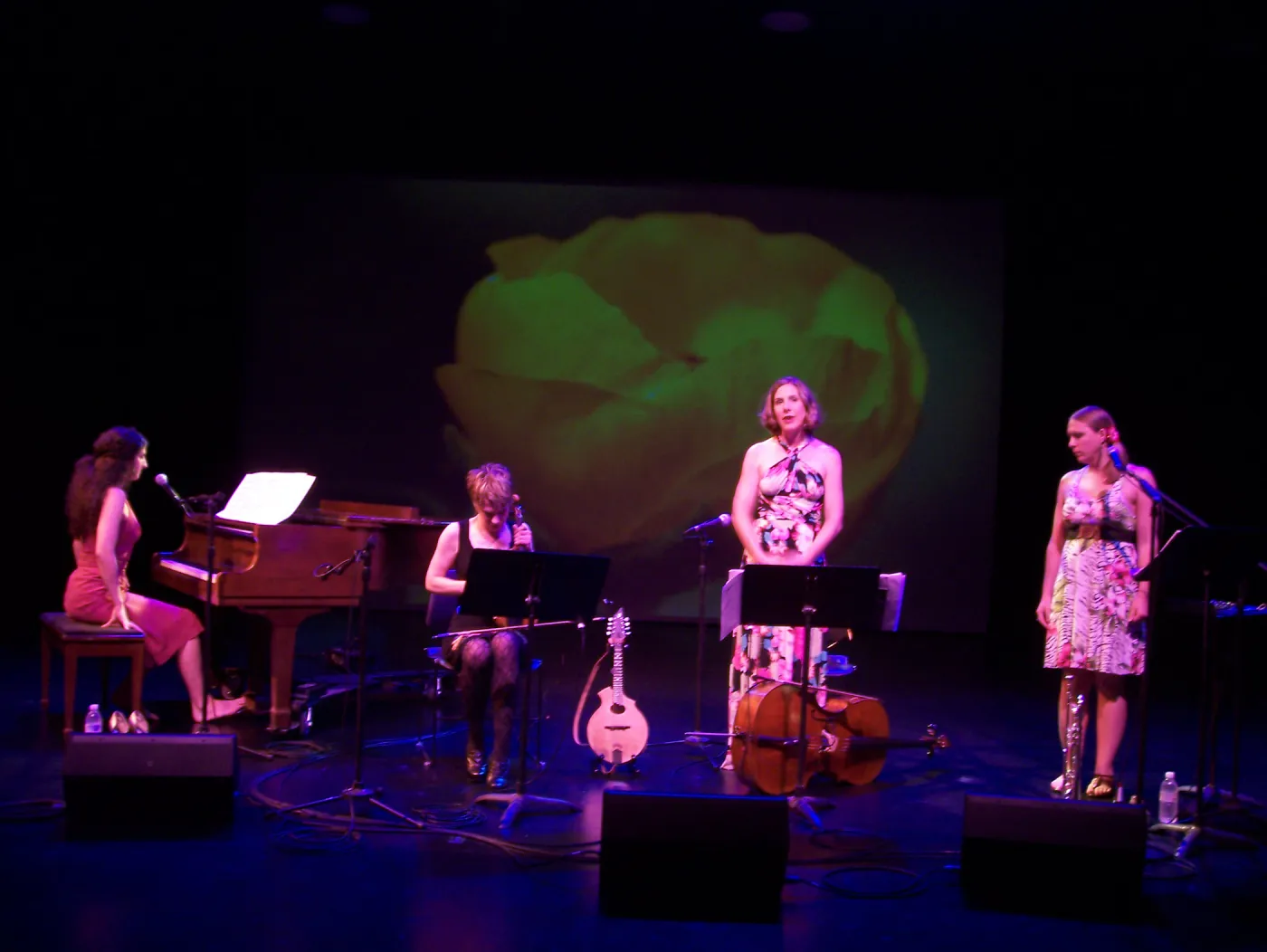 Rose & the Nightingale at the Center Stage Theater