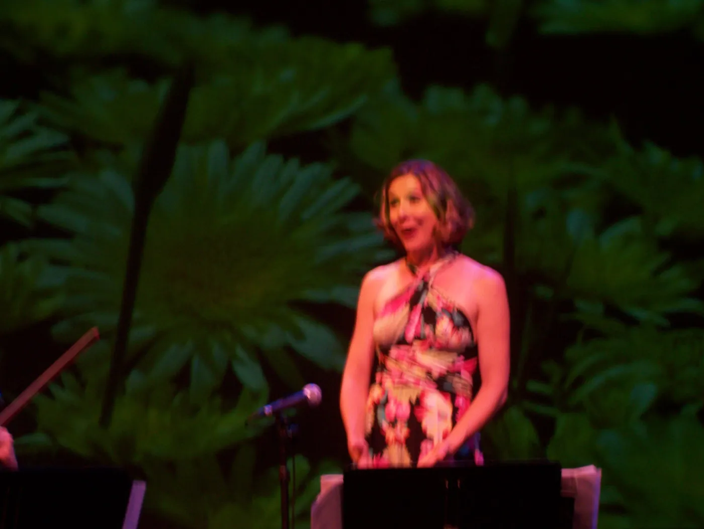 Rose & the Nightingale at the Center Stage Theater