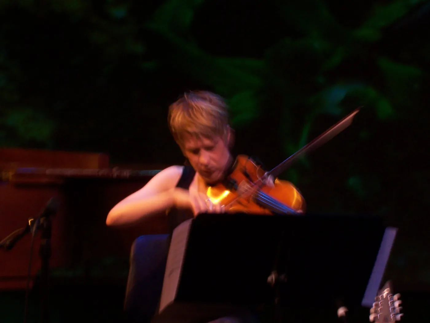 Rose & the Nightingale at the Center Stage Theater