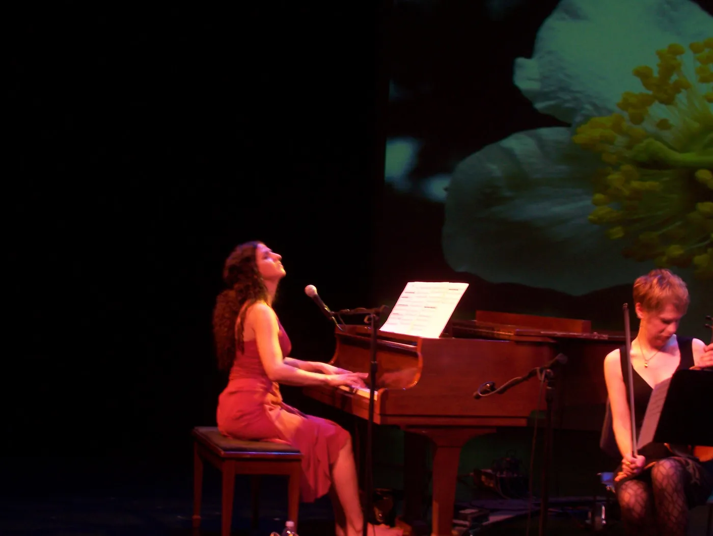 Rose & the Nightingale at the Center Stage Theater