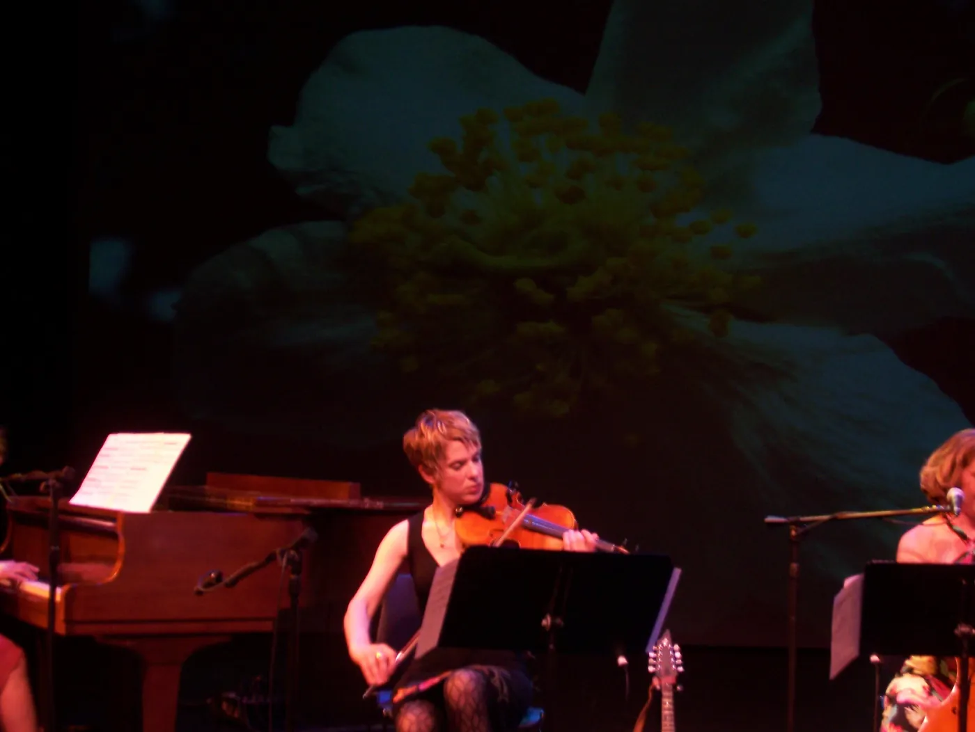 Rose & the Nightingale at the Center Stage Theater