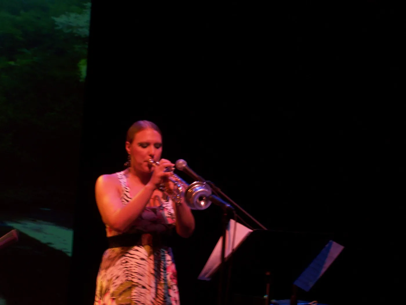Rose & the Nightingale at the Center Stage Theater