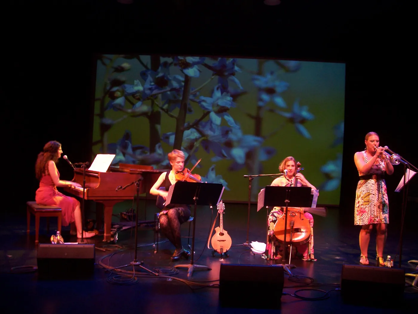 Rose & the Nightingale at the Center Stage Theater