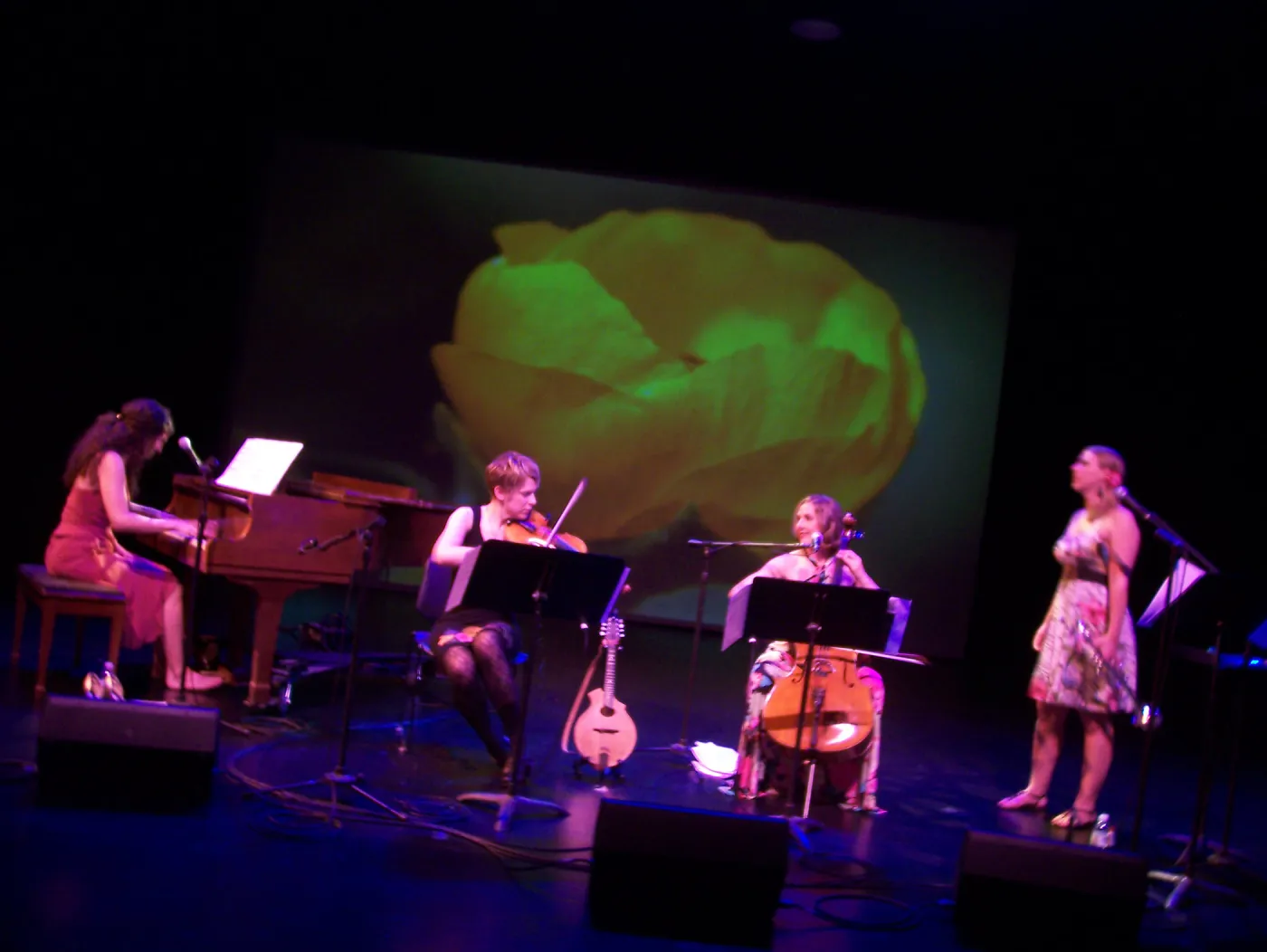Rose & the Nightingale at the Center Stage Theater