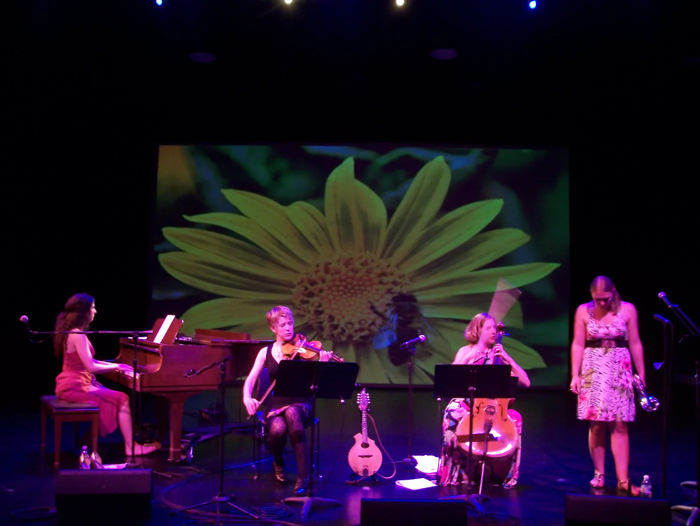 Rose & the Nightingale at the Center Stage Theater