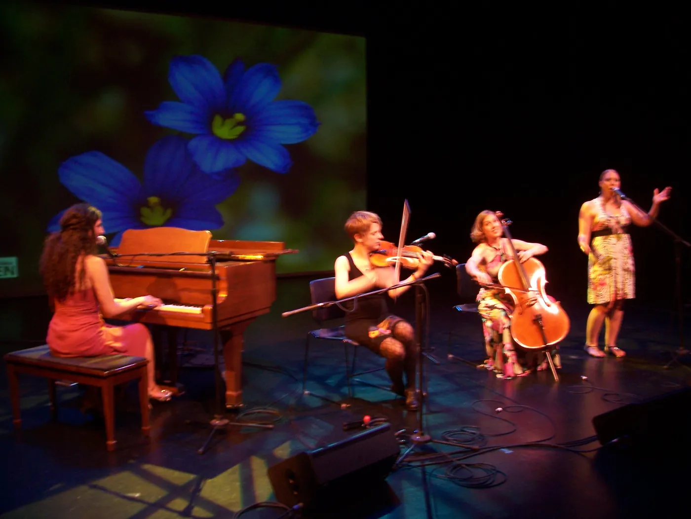 Rose & the Nightingale at the Center Stage Theater