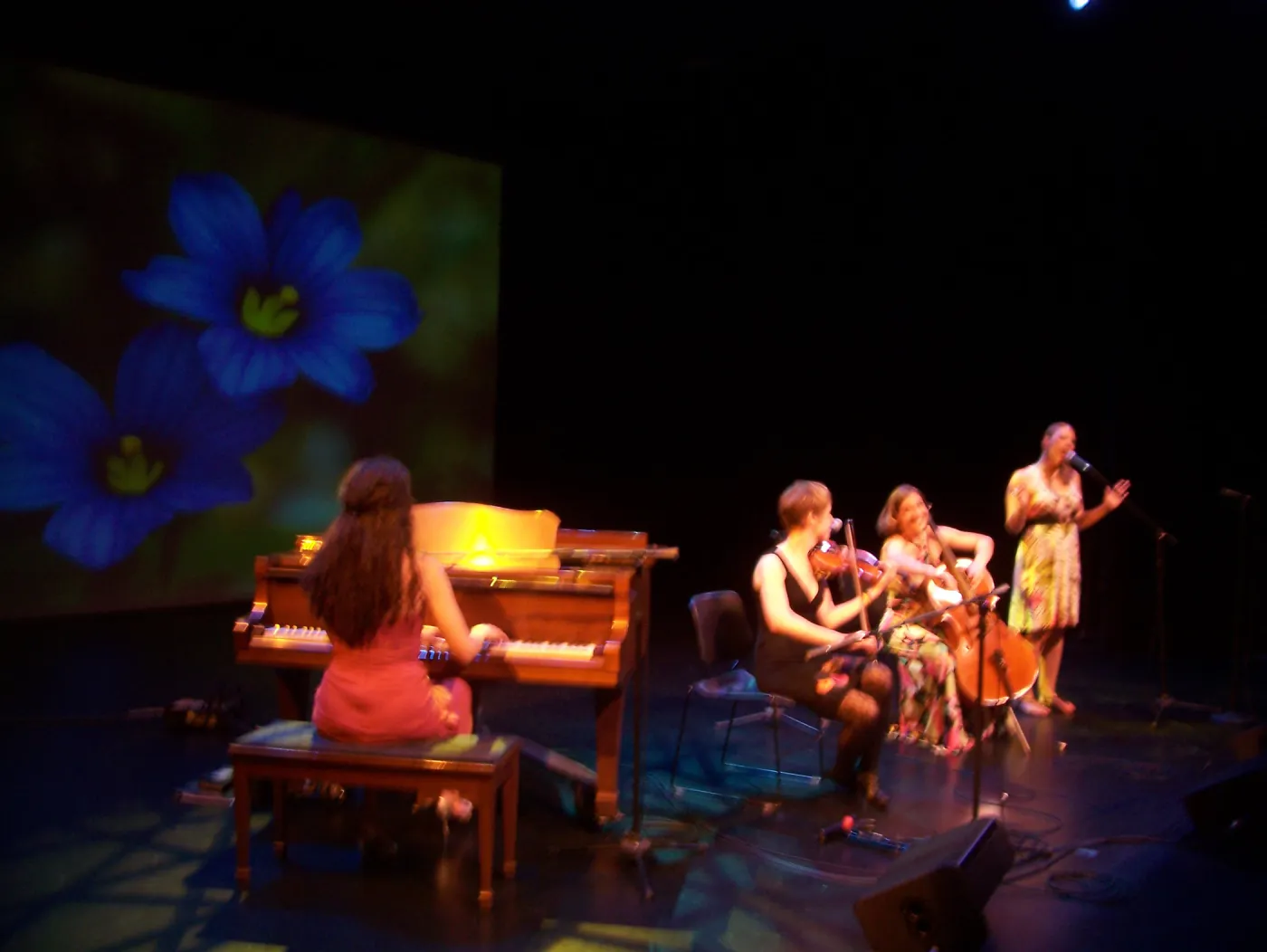 Rose & the Nightingale at the Center Stage Theater