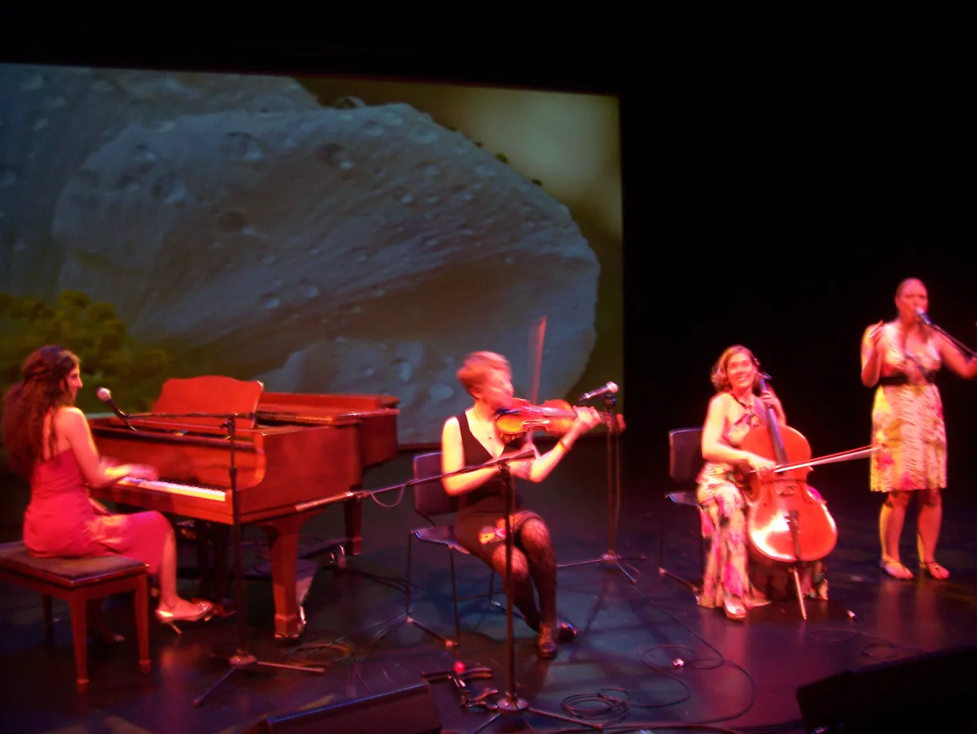 Rose & the Nightingale at the Center Stage Theater
