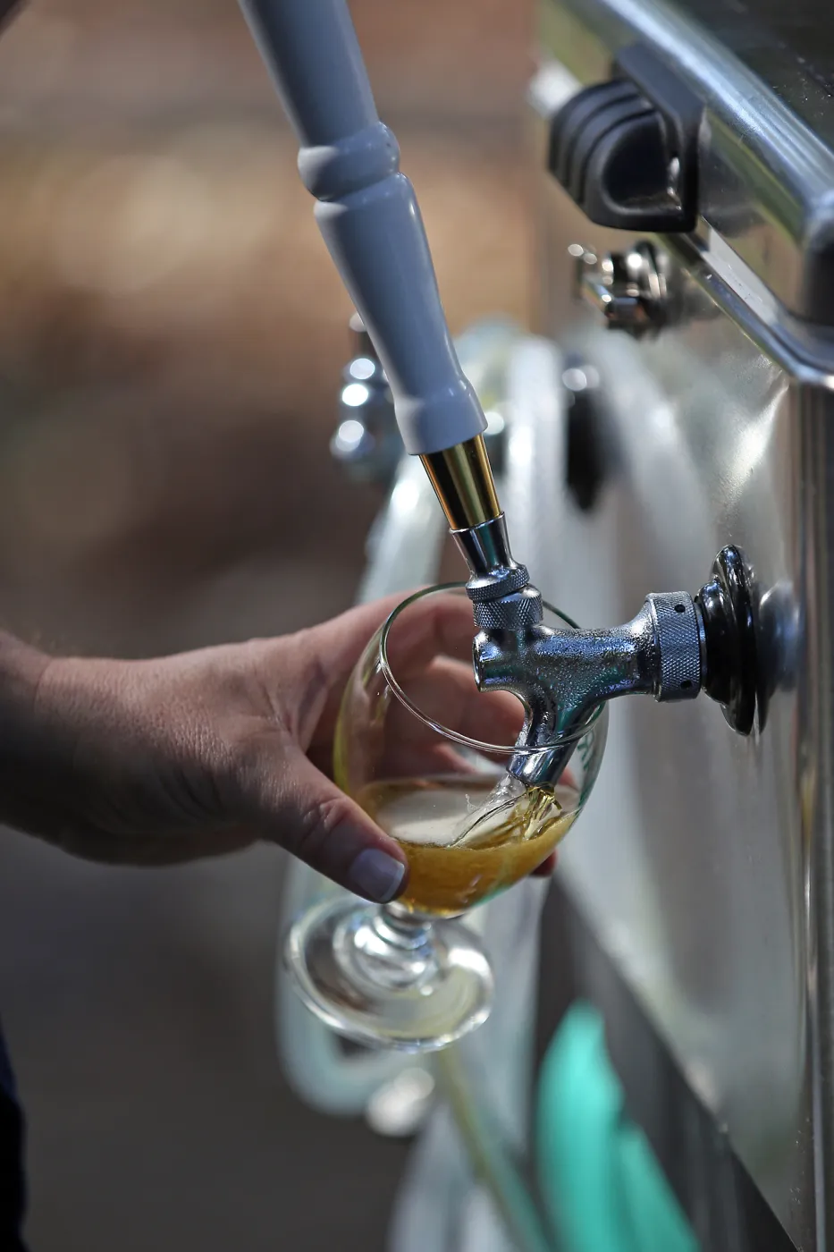 Santa Barbara Beer Garden Event, fresh pour from the tap, Garden logo beer glass