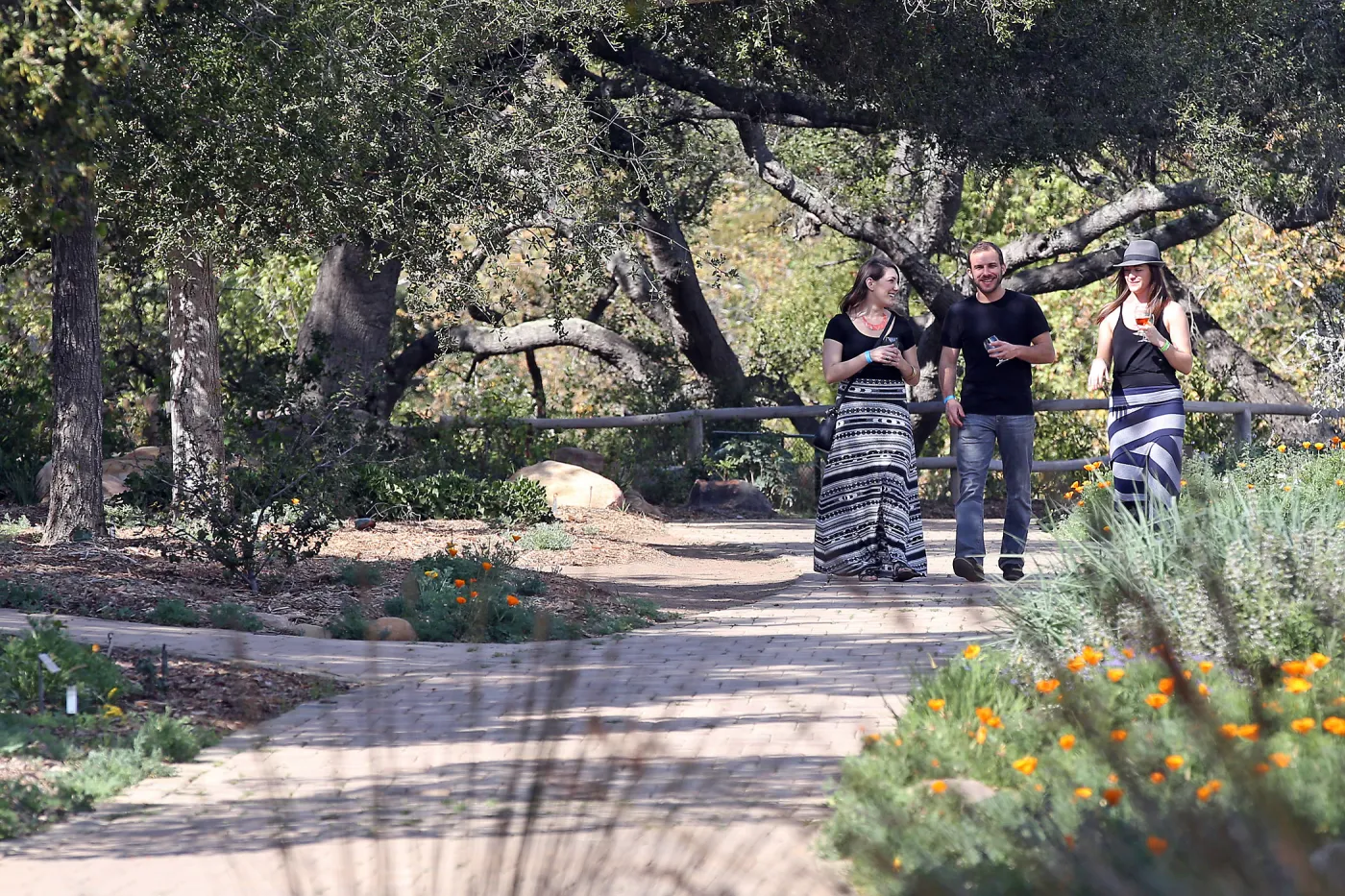 Santa Barbara Beer Garden Event, visitors strolling along the Meadow Oaks pavered path