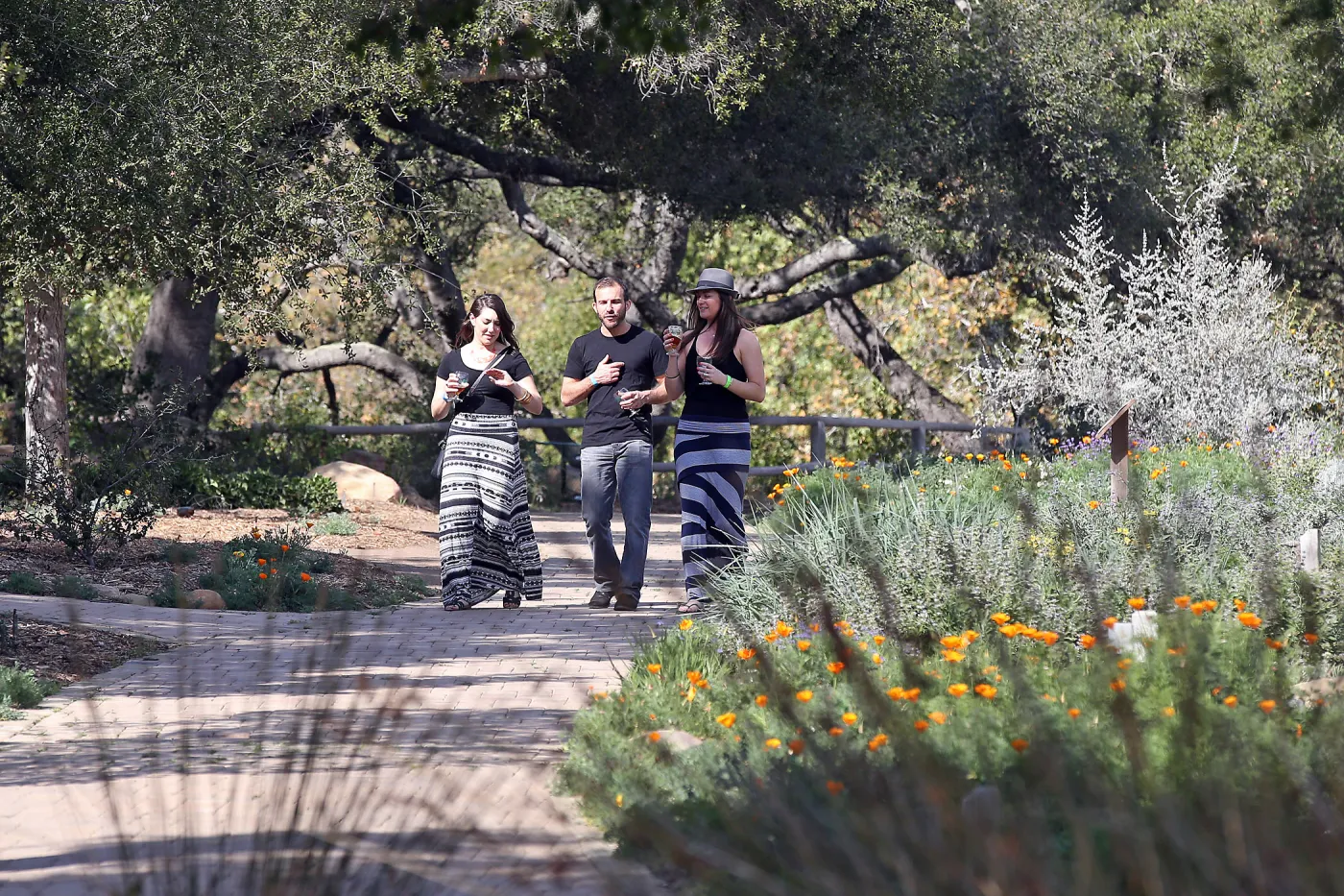 Santa Barbara Beer Garden Event, visitors strolling along the Meadow Oaks pavered path