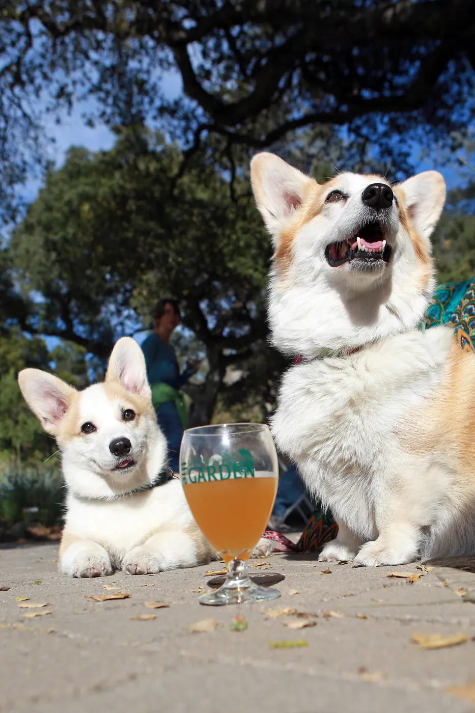 Santa Barbara Beer Garden Event