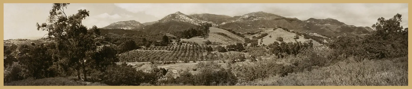 Las Canoas Road Panorama