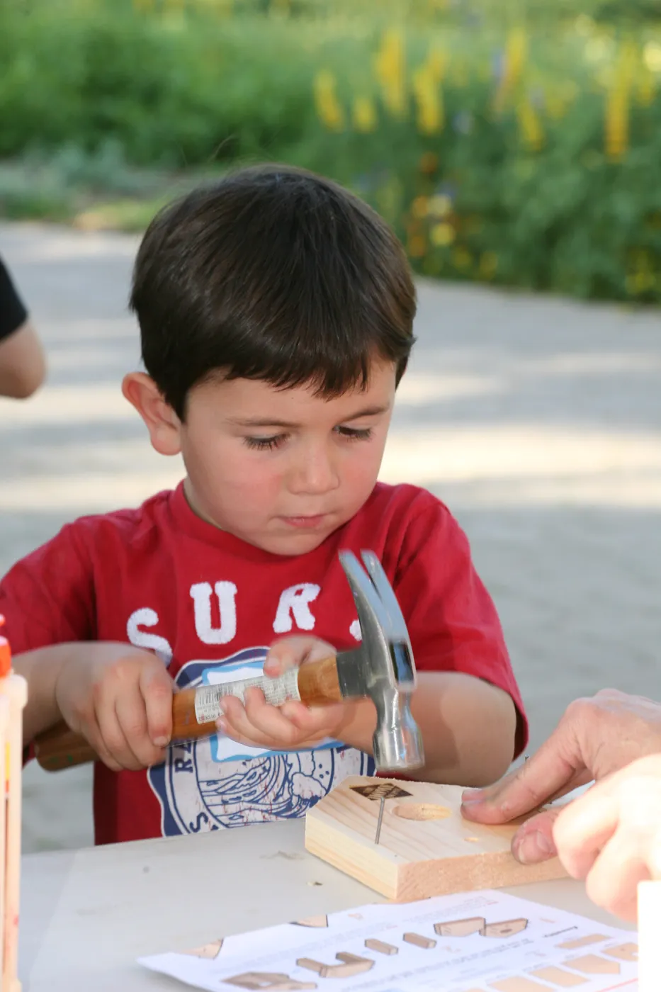 SBBG Members Picnic 2014