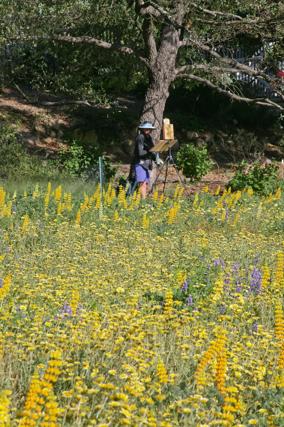 Artists Painting in the Garden