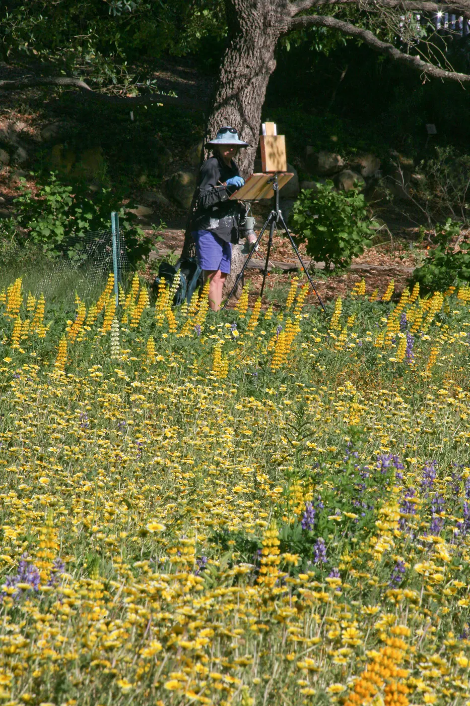 Artists Painting in the Garden