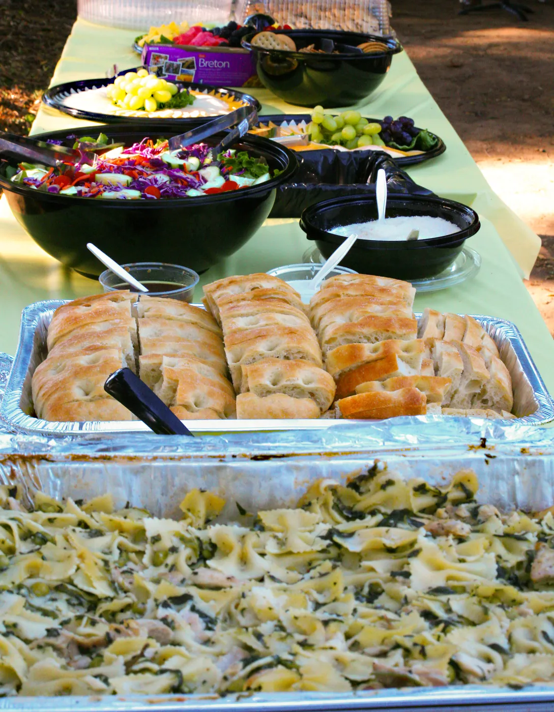 SBBG Members Picnic 2014