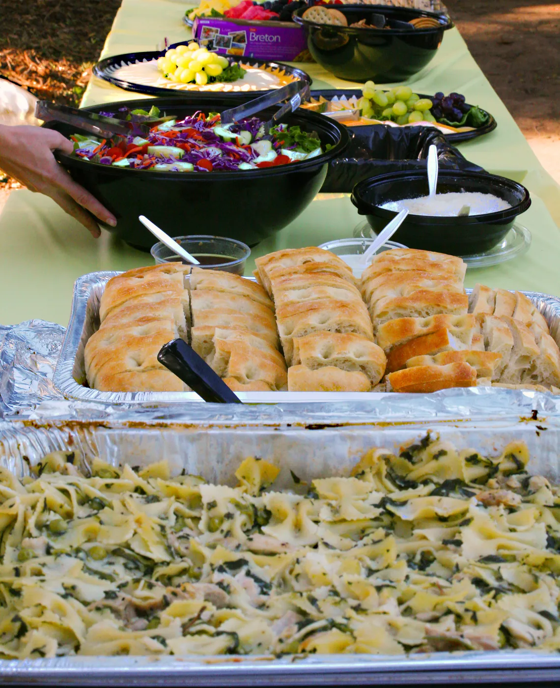 SBBG Members Picnic 2014