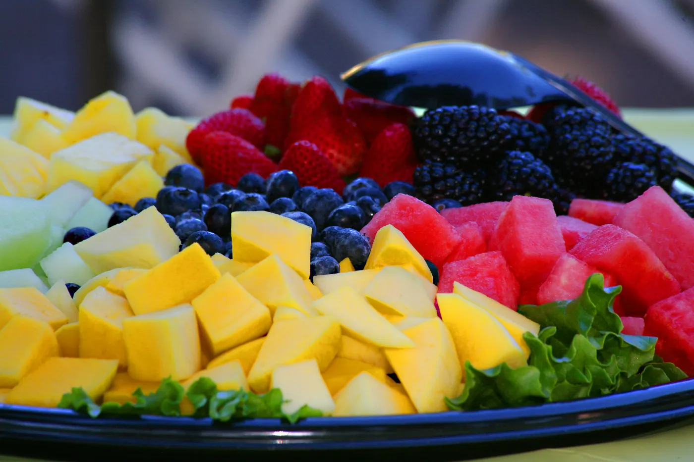 SBBG Members Picnic 2014