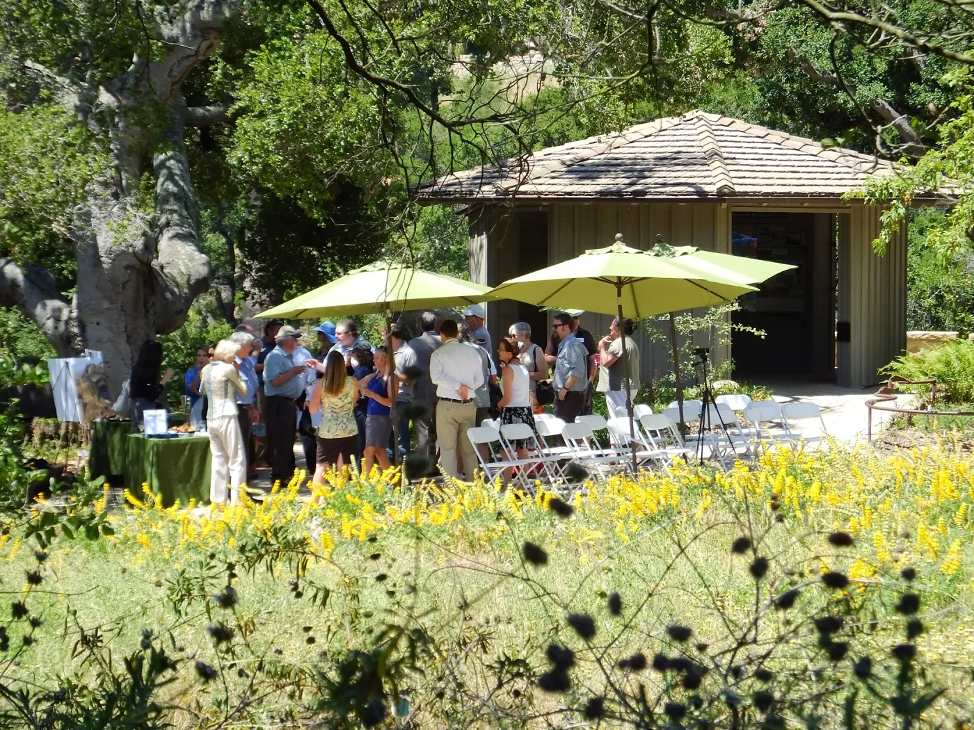 Central Coast Heritage Protection Act Press Conference