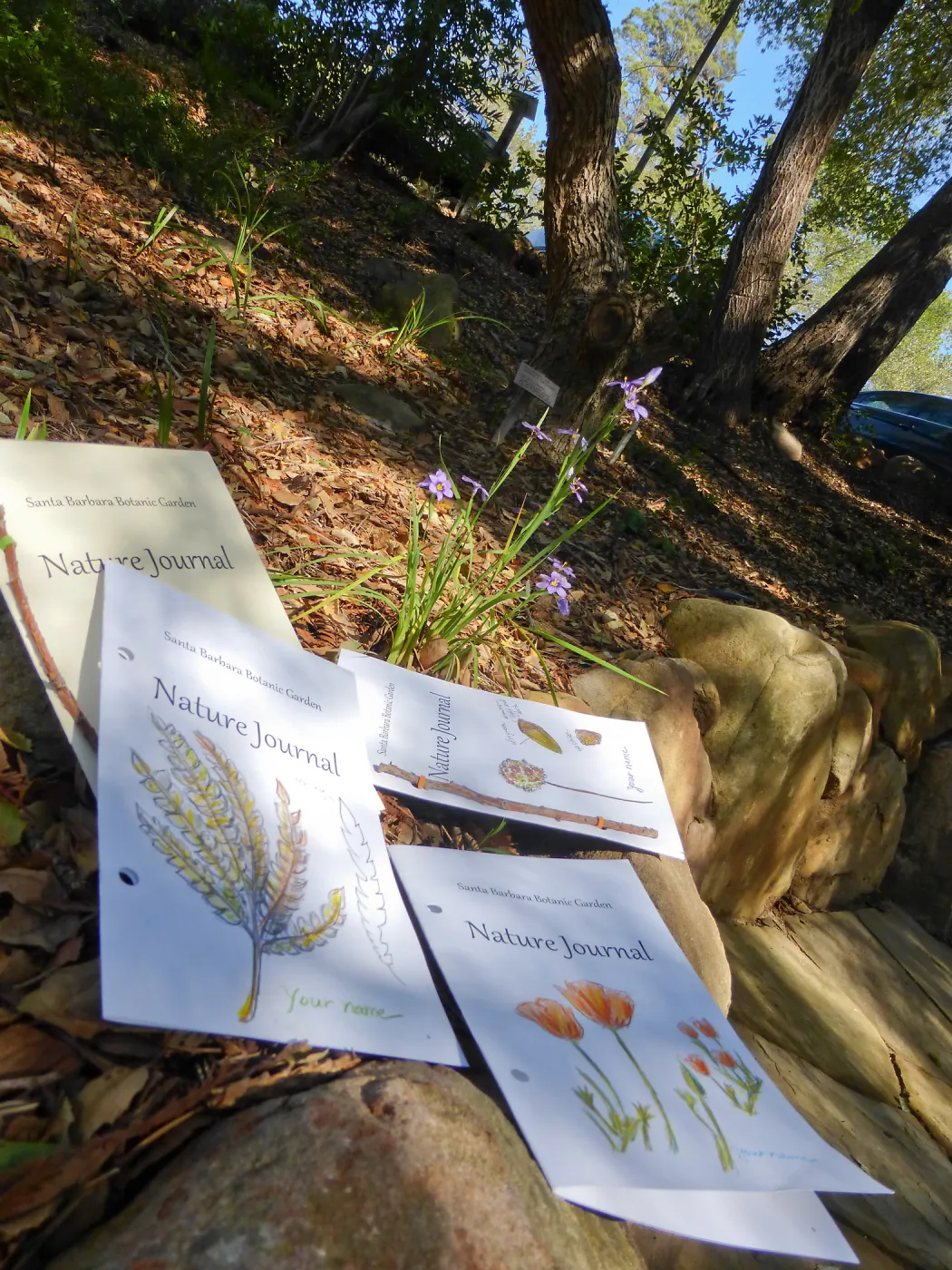Nature Journals
