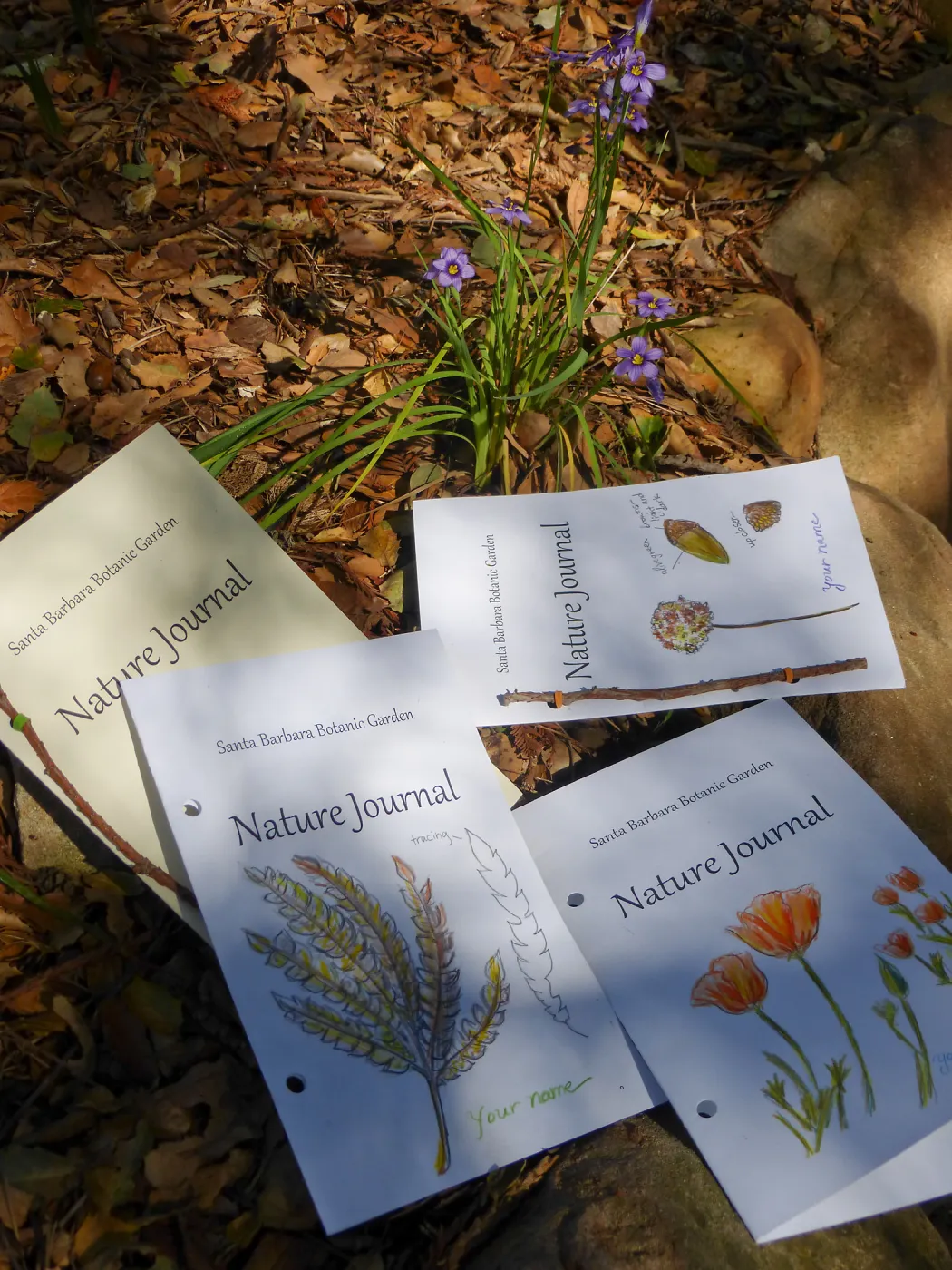 Nature Journals