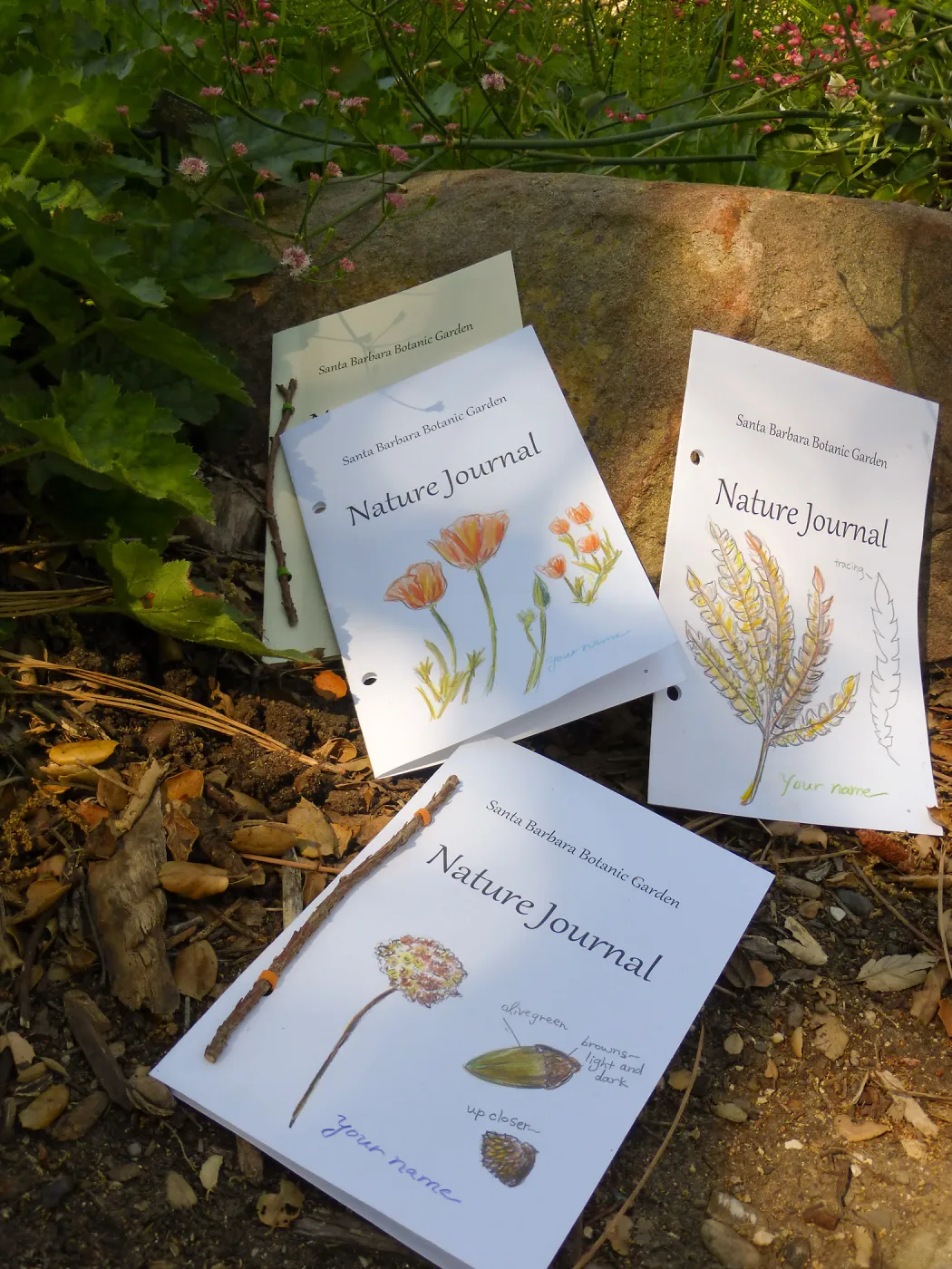 Nature Journals