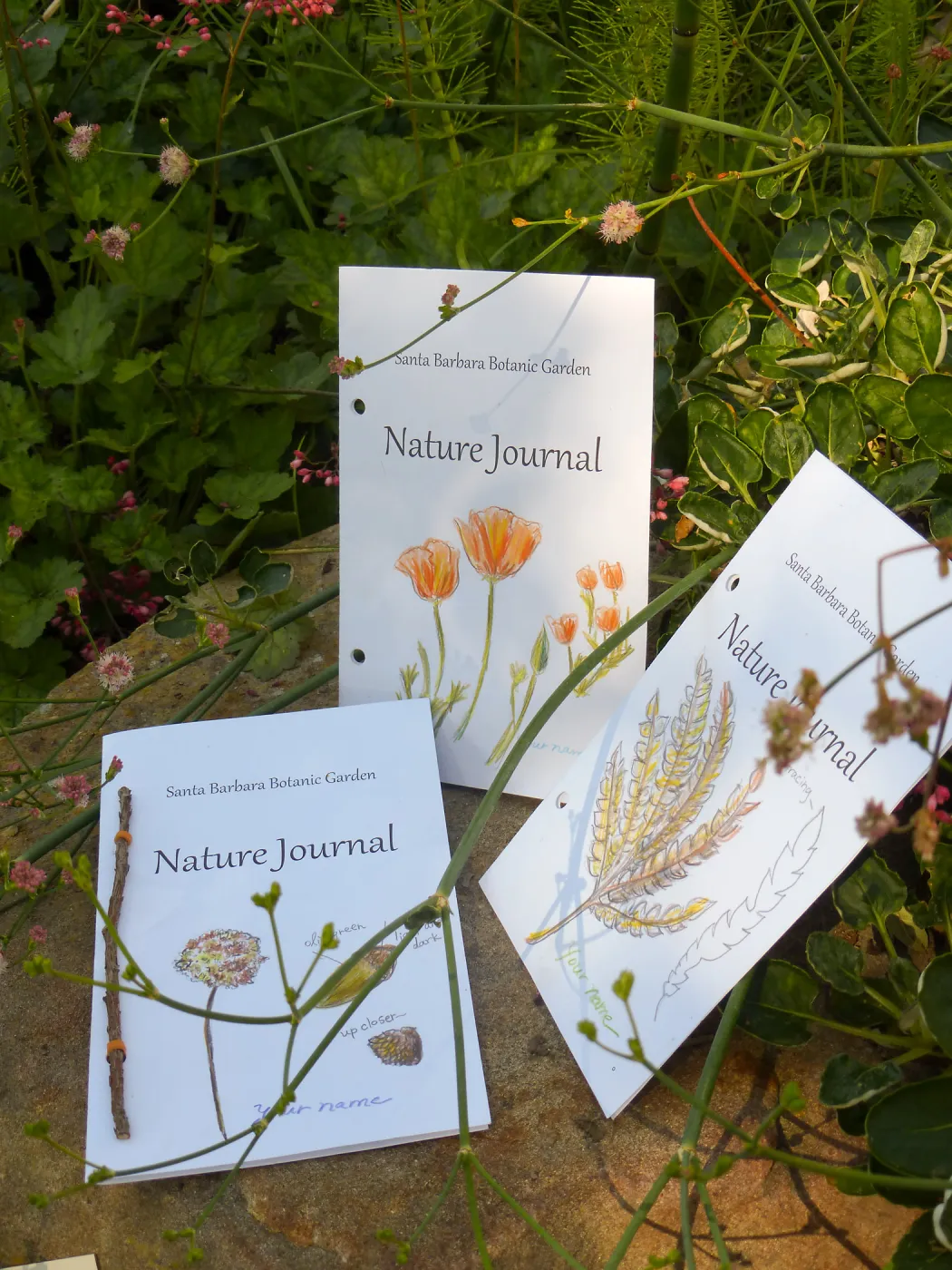 Nature Journals