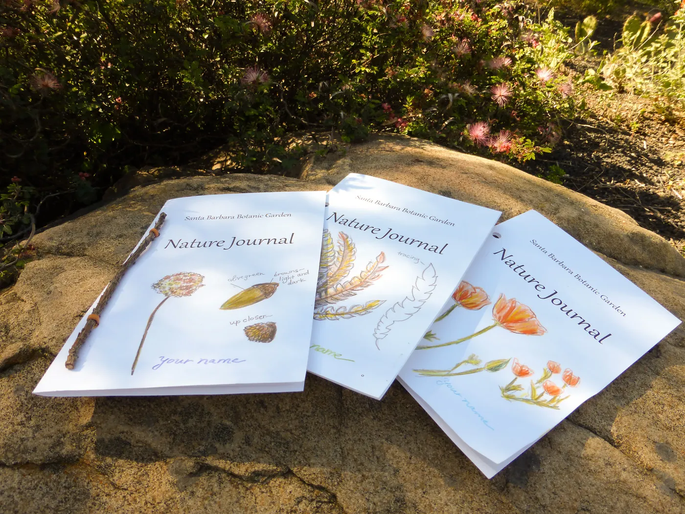 Nature Journals