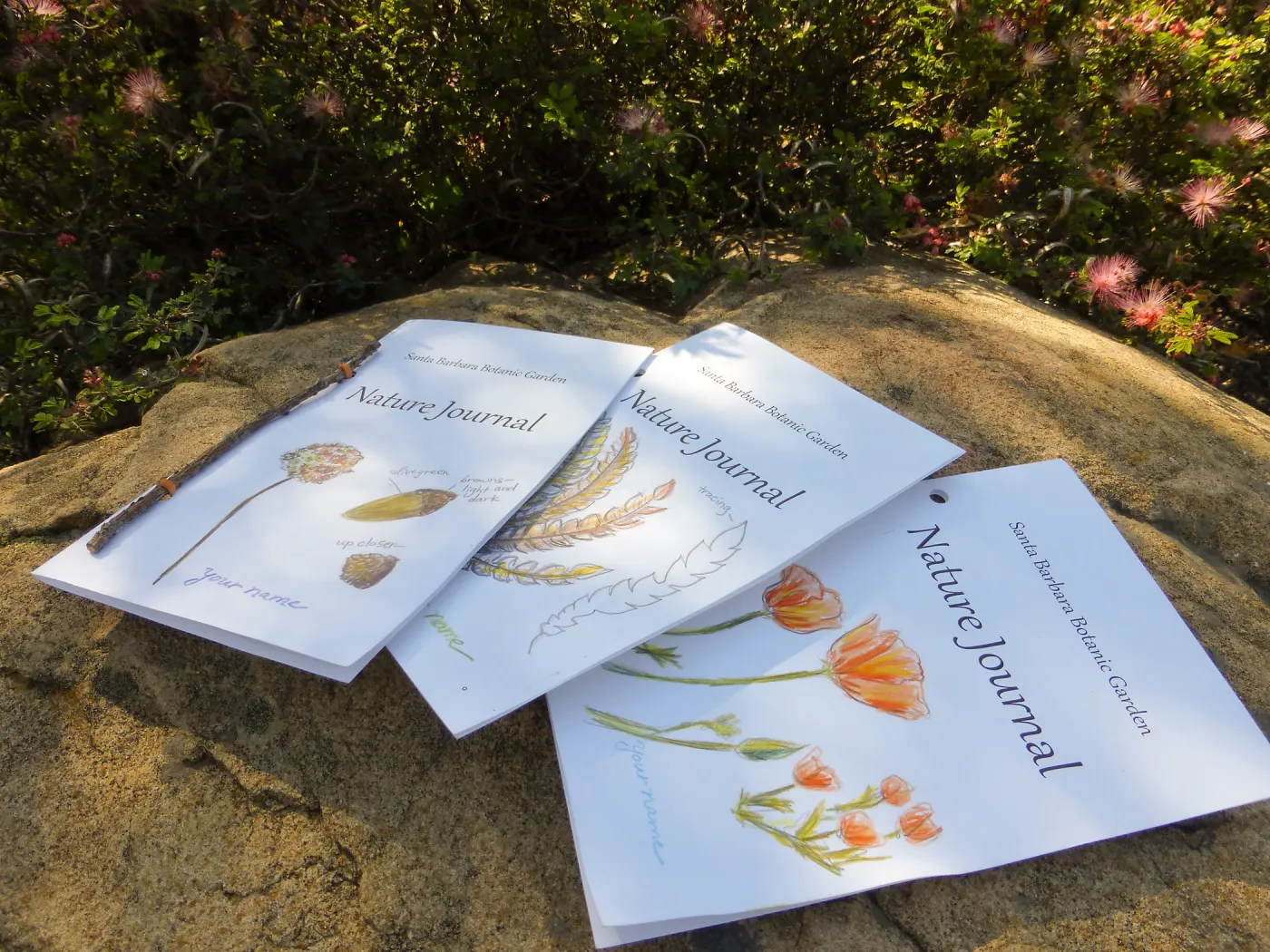 Nature Journals
