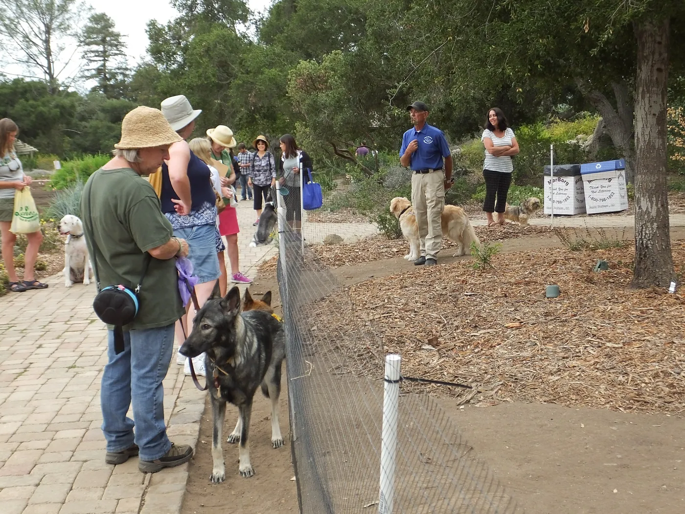 Trails n Tails 2014, Dog Obedience Demonstration