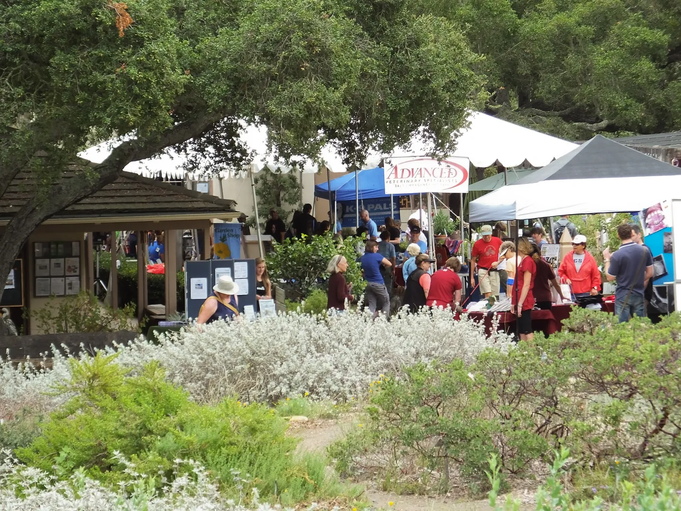 Trails n Tails 2014