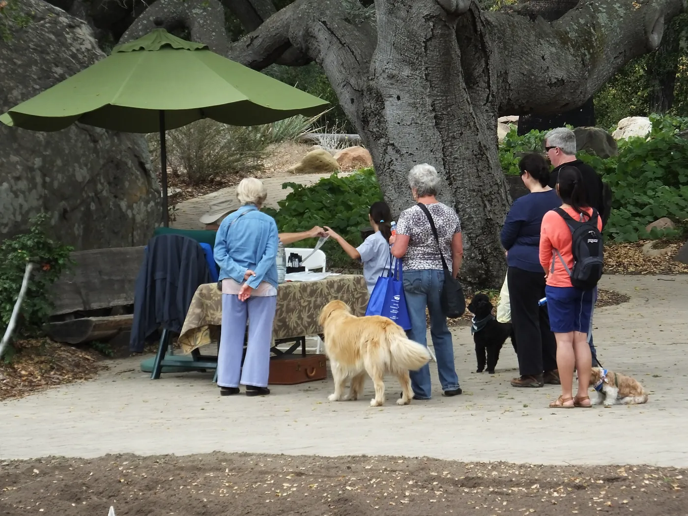 Trails n Tails 2014, Dog Photo Portraits
