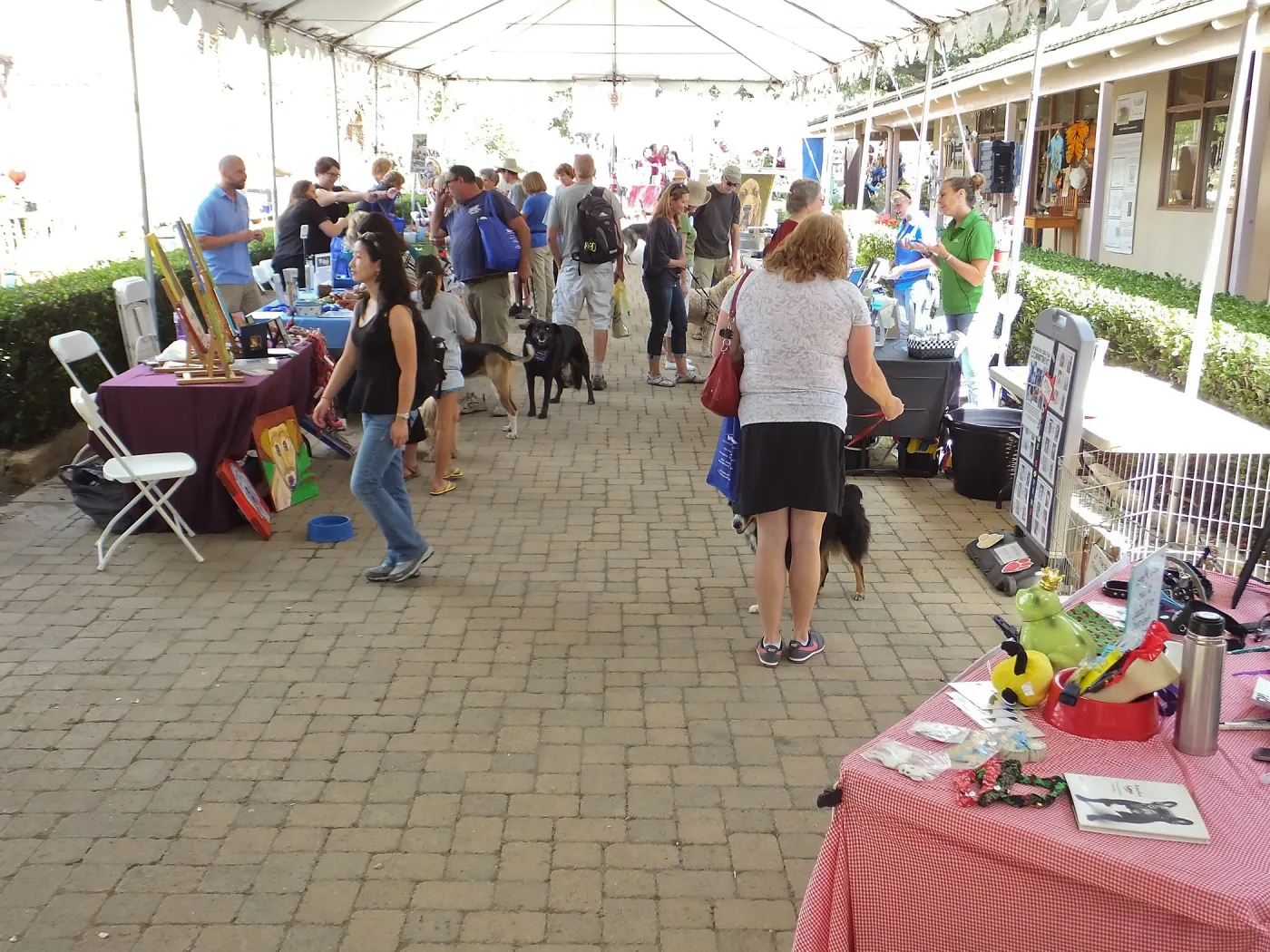 Trails n Tails 2014, Vendor Exhibits