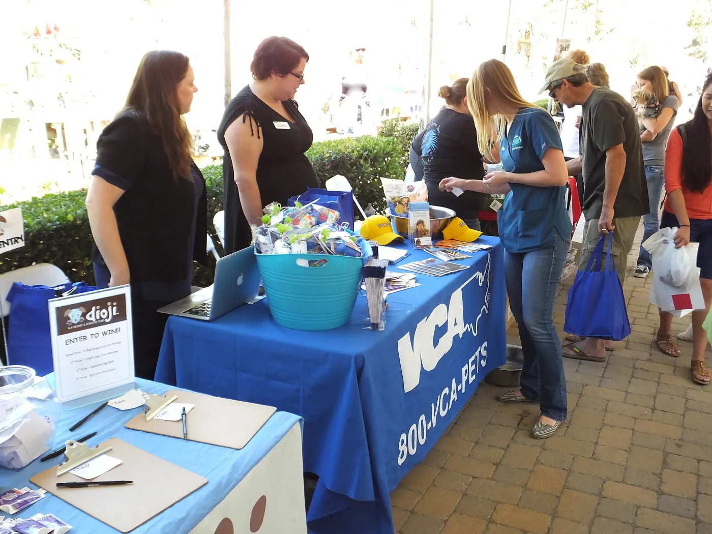 Trails n Tails 2014, VCA Noahs Ark table