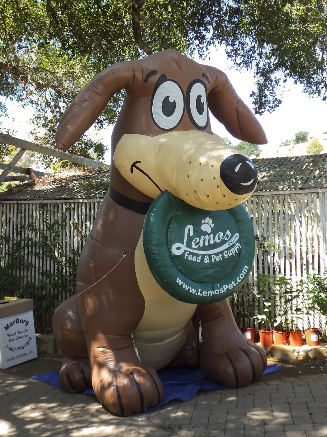 Trails n Tails 2014, Miles, the Lemos Inflatable Dog