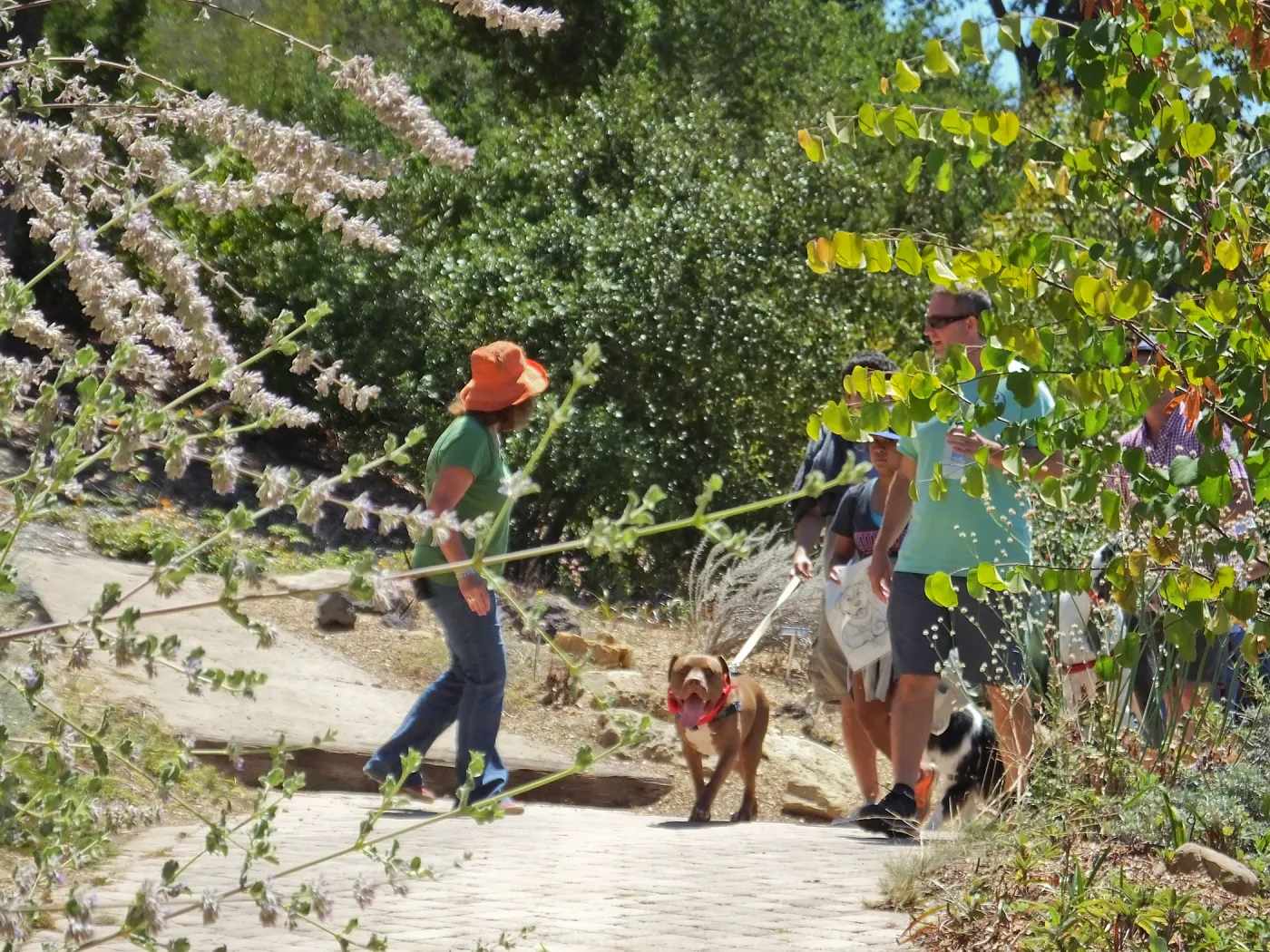 Trails n Tails 2014