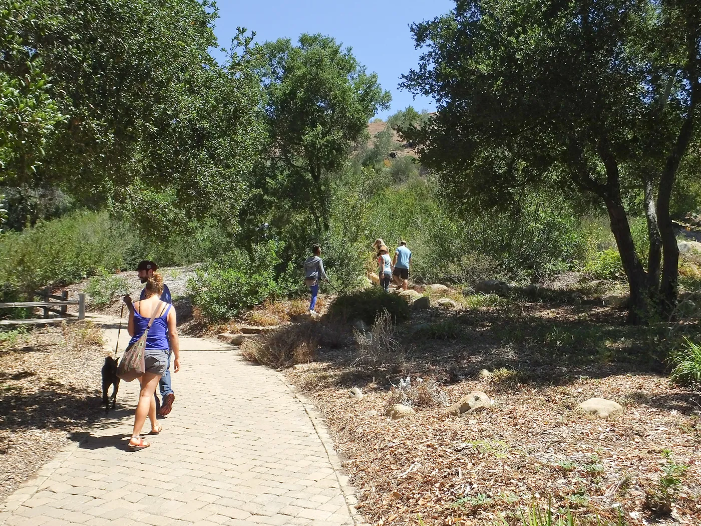 Trails n Tails 2014