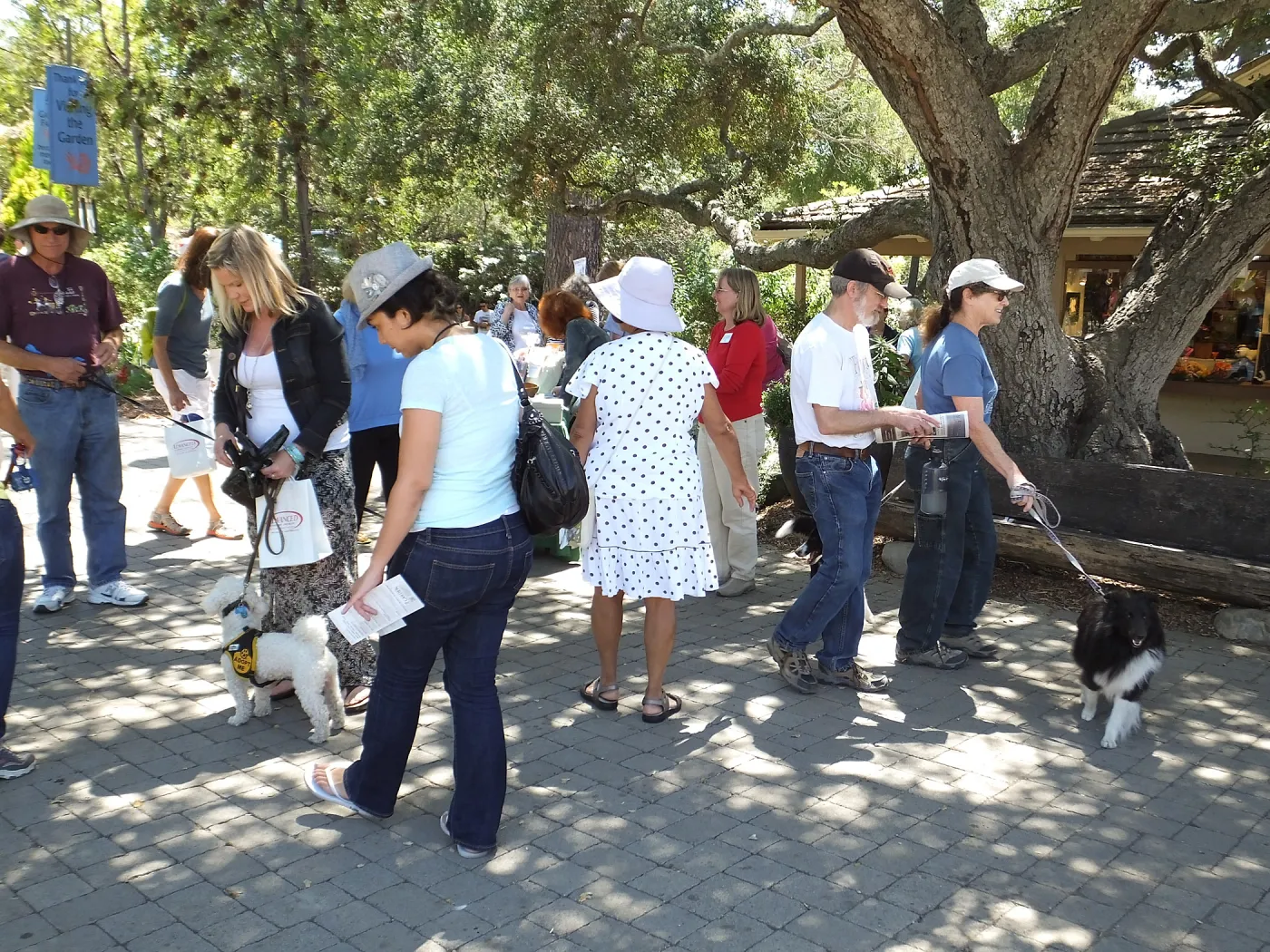 Trails n Tails 2014