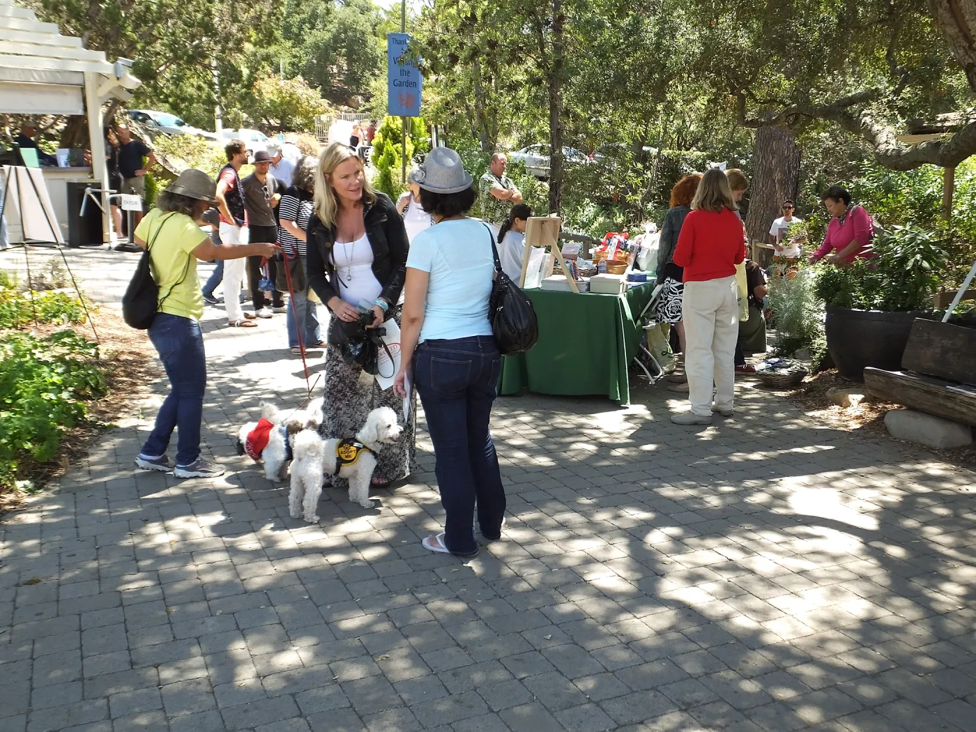 Trails n Tails 2014