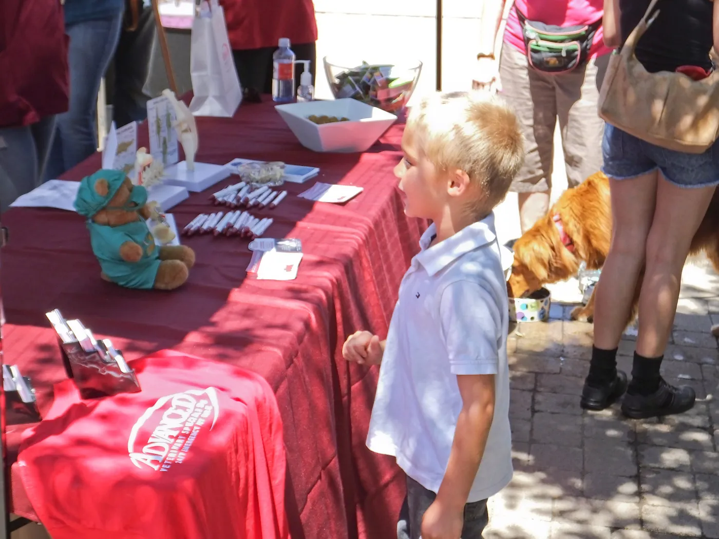 Trails n Tails 2014, Advanced Veterinary Specialists booth