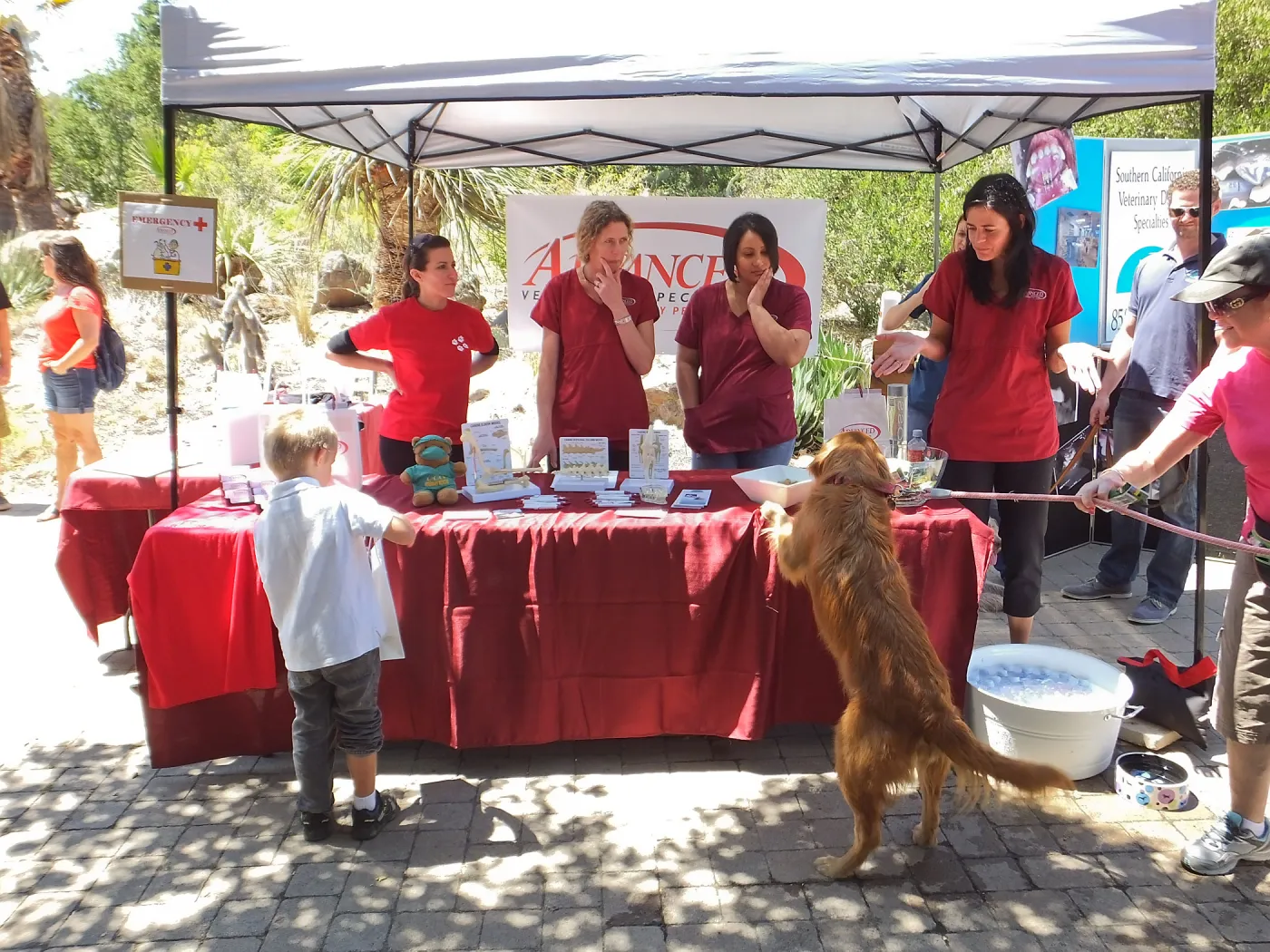 Trails n Tails 2014, Advanced Veterinary Specialists booth