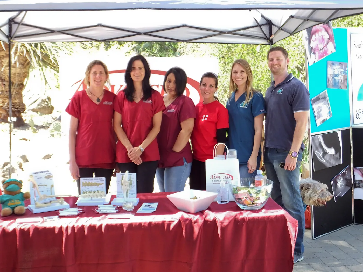 Trails n Tails 2014, Advanced Veterinary Specialists booth