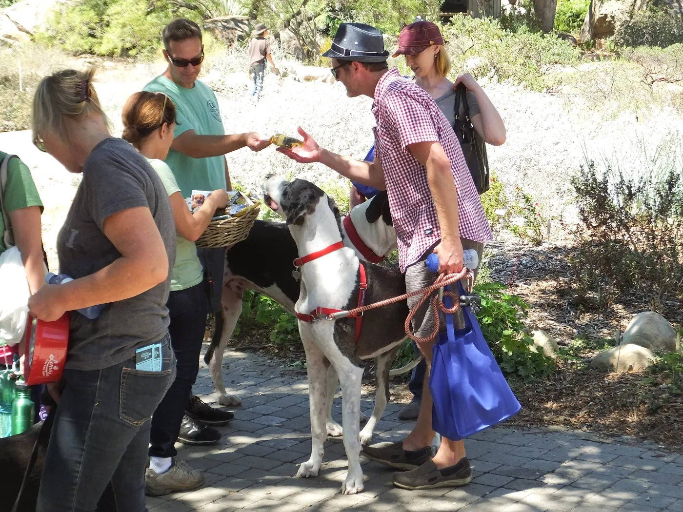 Trails n Tails 2014